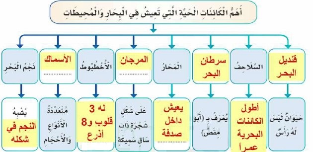 خريطة مفاهيمية لأهم الكائنات الحية التي تعيش في البحار والمحيطات